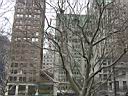 41 Window_blinds_in_tree_by_WTC.jpg